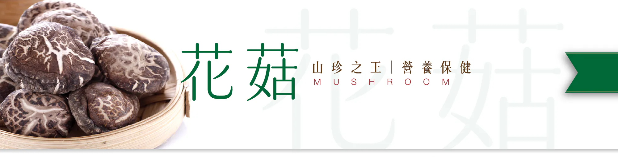 菇菌